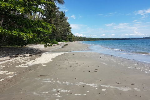 Private Transfers - Cairns Airport To Palm Cove - Goulburn Accommodation 1
