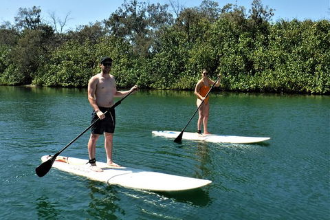 Paddle Board Hire In Surfers Paradise - Goulburn Accommodation 2