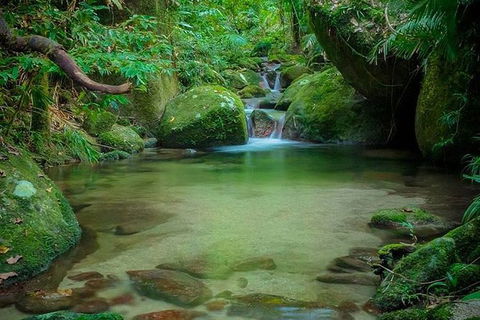 SHUTTLE - Mossman Gorge & Cooya Beach From Port Douglas (Return Transfer) - Goulburn Accommodation 2