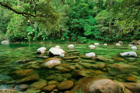 SHUTTLE - Mossman Gorge & Cooya Beach From Port Douglas (Return Transfer) - Goulburn Accommodation 3