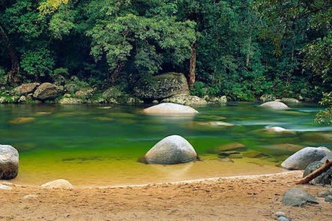 SHUTTLE - Mossman Gorge & Cooya Beach From Port Douglas (Return Transfer) - Goulburn Accommodation 1