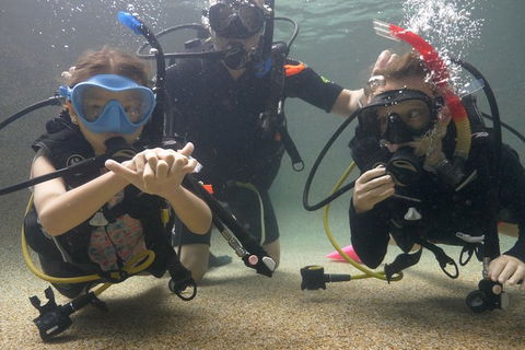 Scuba Kids- Padi Bubblemaker Course - Goulburn Accommodation 4