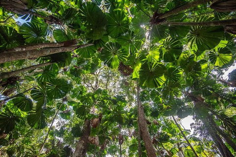 5 Day Australia Retreat: Queensland Daintree - Goulburn Accommodation 4