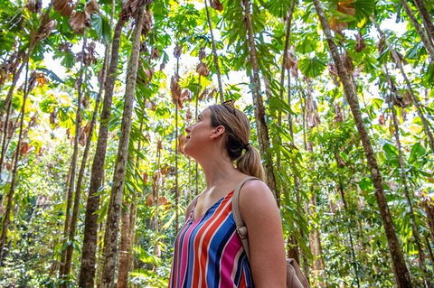 5 Day Australia Retreat: Queensland Daintree - Goulburn Accommodation 3