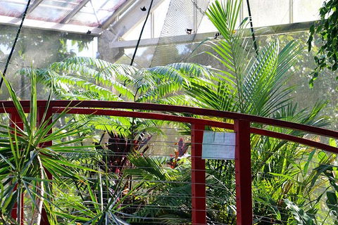 Australian Butterfly Sanctuary- Virtual Interactive Tour With Private Guide - Goulburn Accommodation 2