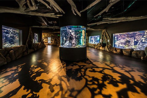 Cairns Aquarium Tour By Twilight With Drink And Appetiser - Goulburn Accommodation 4