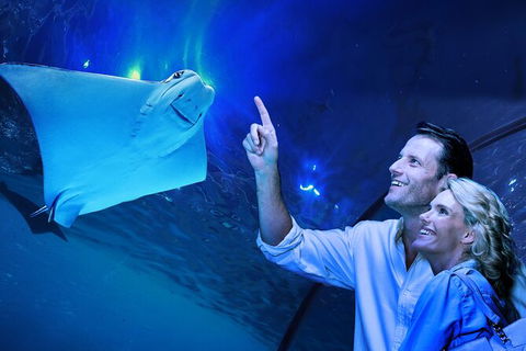 Cairns Aquarium Tour By Twilight With Drink And Appetiser - Goulburn Accommodation 0
