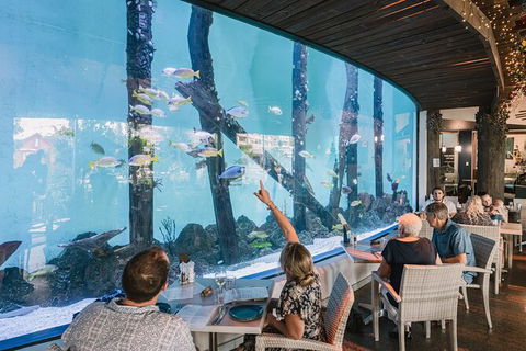Cairns Aquarium Tour By Twilight With Drink And Appetiser - Goulburn Accommodation 1