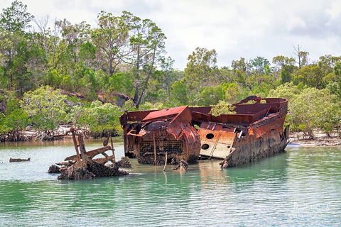 Sandy Straits Scenic & Wildlife Cruise - Goulburn Accommodation 9