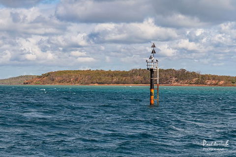 Sandy Straits Scenic & Wildlife Cruise - Goulburn Accommodation 6