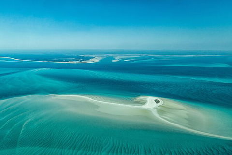 Sandy Straits Scenic & Wildlife Cruise - Goulburn Accommodation 5