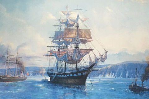 Sandy Straits Scenic & Wildlife Cruise - Goulburn Accommodation 8