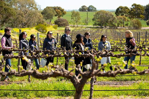 Walk, Taste, Graze - Experience At Pindarie - Goulburn Accommodation 2