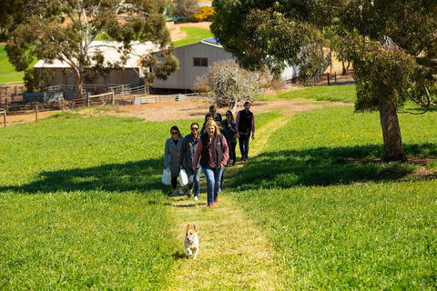 Walk, Taste, Graze - Experience At Pindarie - Goulburn Accommodation 7