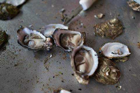 Fine Flavours - Full Day Kangaroo Island Food & Wine Tour - Goulburn Accommodation 10