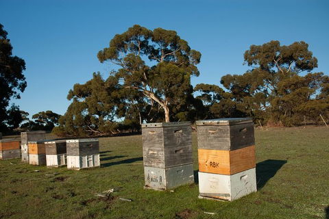 Fine Flavours - Full Day Kangaroo Island Food & Wine Tour - Goulburn Accommodation 5