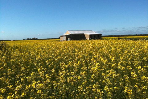 Fine Flavours - Full Day Kangaroo Island Food & Wine Tour - Goulburn Accommodation 11