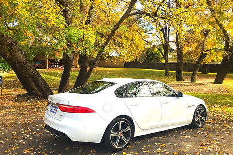 Luxury Jaguar Barossa Valley Half Day Private Tour For 2 - Goulburn Accommodation 0