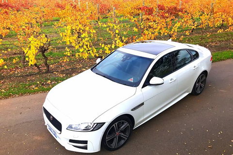 Luxury Jaguar Barossa Valley Half Day Private Tour For 2 - Goulburn Accommodation 2