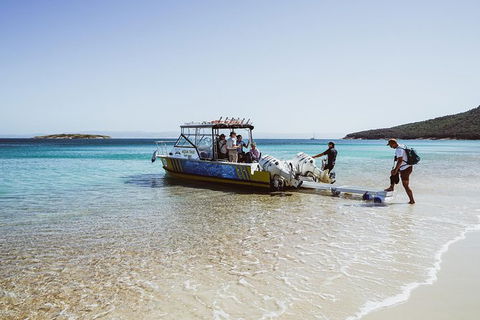 Sea & Explore Wineglass Bay & Freycinet National Park - Cruise & Walk - Goulburn Accommodation 3