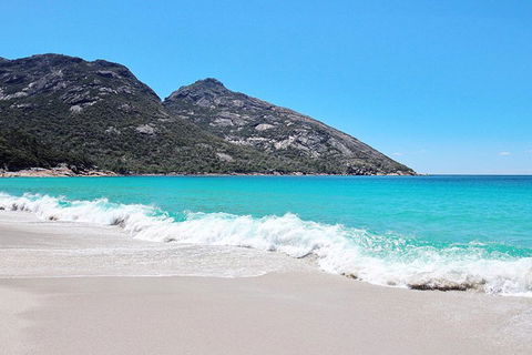 Sea & Explore Wineglass Bay & Freycinet National Park - Cruise & Walk - Goulburn Accommodation 4