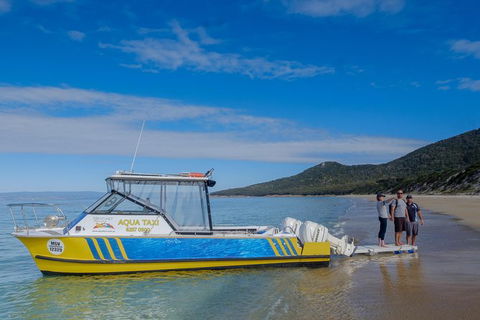 Sea & Explore Wineglass Bay & Freycinet National Park - Cruise & Walk - Goulburn Accommodation 7