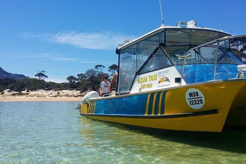 Sea & Explore Wineglass Bay & Freycinet National Park - Cruise & Walk - Goulburn Accommodation 1