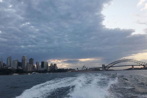 Sydney&Melbourne City Lovers- 2 Day Combo Private Tour! - Goulburn Accommodation 1
