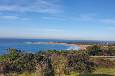 Private Great Ocean Road And Chocolaterie Tour With Tasting - Goulburn Accommodation 5