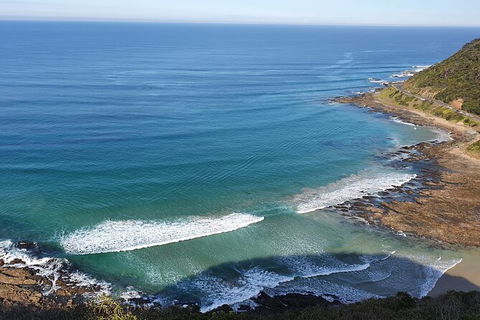 Private Great Ocean Road And Chocolaterie Tour With Tasting - Goulburn Accommodation 7