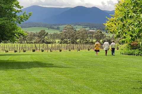 Yarra Valley Wine Tasting Day Tour From Melbourne - Goulburn Accommodation 6
