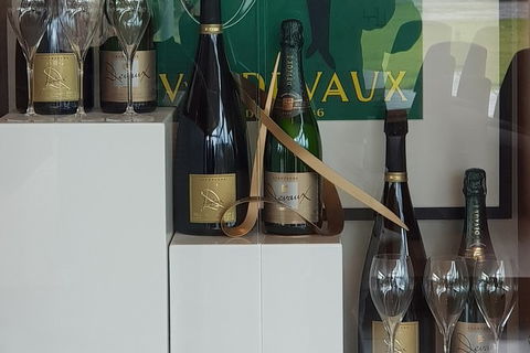 Yarra Valley Wine Tasting Day Tour From Melbourne - Goulburn Accommodation 2
