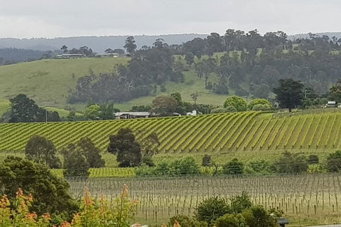 Yarra Valley Wine Tasting Day Tour From Melbourne - Goulburn Accommodation 0