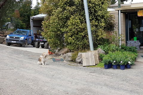 Yarra Valley Wineries And Rayners Orchard Tour From Melbourne - Goulburn Accommodation 8