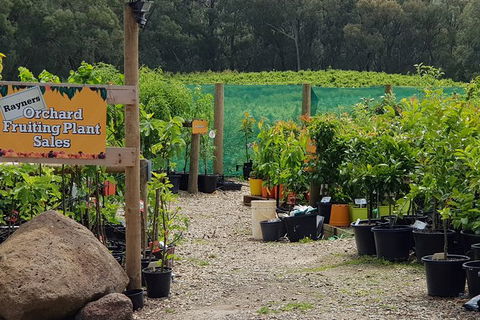 Yarra Valley Wineries And Rayners Orchard Tour From Melbourne - Goulburn Accommodation 0