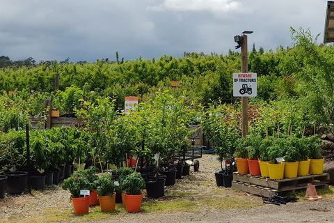 Yarra Valley Wineries And Rayners Orchard Tour From Melbourne - Goulburn Accommodation 22