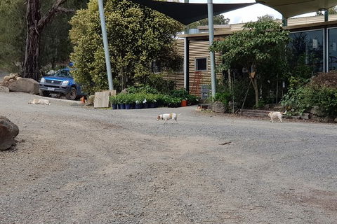 Yarra Valley Wineries And Rayners Orchard Tour From Melbourne - Goulburn Accommodation 24