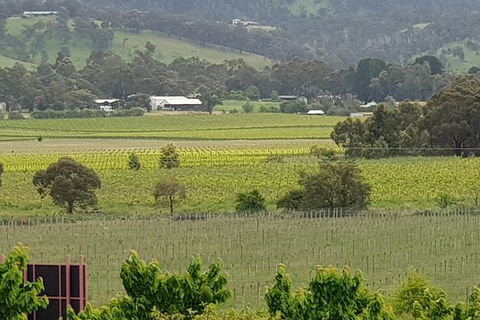 Yarra Valley Wineries And Rayners Orchard Tour From Melbourne - Goulburn Accommodation 2