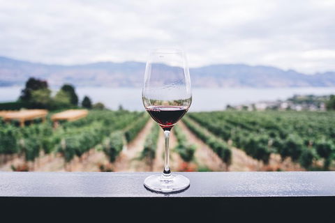 Full-Day Gourmet Wine Tour With Pick Up And Lunch - Goulburn Accommodation 1