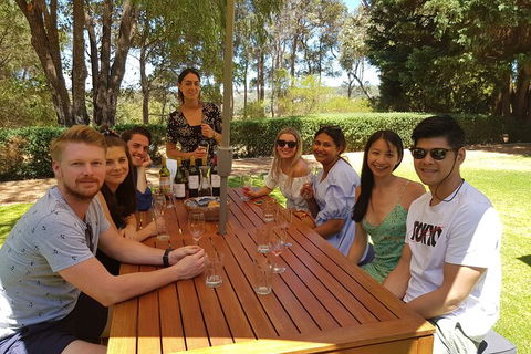 Full-Day Gourmet Wine Tour With Pick Up And Lunch - Goulburn Accommodation 5