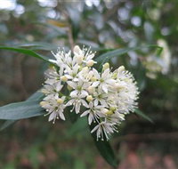 Booderee National Park - Goulburn Accommodation