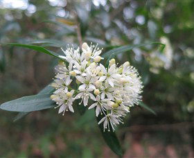 Booderee National Park - Goulburn Accommodation 0