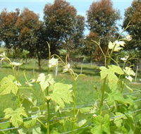 Barwon Ridge Wines - Goulburn Accommodation