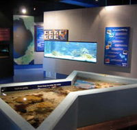 Marine and Freshwater Discovery Centre - Goulburn Accommodation