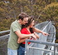Valley of the Giants Tree Top Walk - Goulburn Accommodation