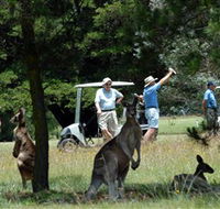 Glen Innes Golf Club - Goulburn Accommodation