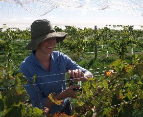 Kingsdale Wines