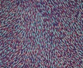 The Gate Gallery - Wollombi - Goulburn Accommodation 0