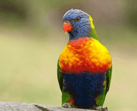 Booderee National Park - Goulburn Accommodation 1
