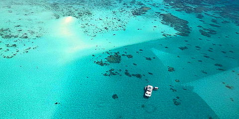 Ocean Free & Ocean Freedom - Cairns Premier Reef And Island Tours - Goulburn Accommodation 3